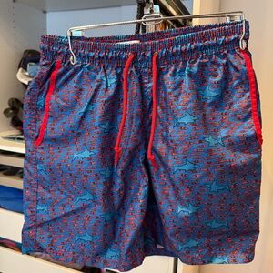 Mr. Swim men’s swim shorts trunk Medium